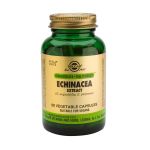 Solgar SFP Echinacea Extract (E. angustifolia, E. purpurea) Ενισχυμένα Φυτικά Εκχυλίσματα 60 Veg. Caps