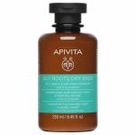 Apivita Oily Roots Dry Ends Σαμπουάν Εξισορρόπησης για Λιπαρές Ρίζες και Ξηρές Άκρες με Τσουκνίδα και Πρόπολη 250 ml