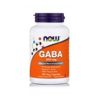 Now Foods GABA 500mg Συμπλήρωμα Διατροφής για την Αντιμετώπιση του Άγχους & του Στρες 100 veg caps