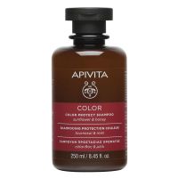 Apivita Color Protect Σαμπουάν για Βαμμένα Μαλλιά με Ηλίανθο & Μέλι 250 ml