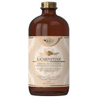 Sky Premium Life L-Carnitine 1500mg με Γεύση Πορτοκάλι 480 ml