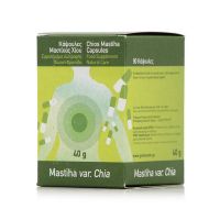 Mastiha Therapy Κάψουλες Μαστίχας για Φυσική Προστασία του Πεπτικού 90 κάψουλες