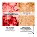 Vichy Liftactiv Collagen Specialist Κρέμα Προσώπου Νυκτός 50 ml