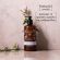 Apivita Pure Jasmine Αφρόλουτρο με Αιθέρια Έλαια και Γιασεμί 500 ml