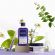 Phyto Violet No Yellow Shampoo Σαμπουάν κατά των Κίτρινων Τόνων 250 ml