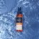 Phyto Plage The Icon Protective Oil Λάδι Προστασίας για τα Μαλλιά 100 ml