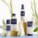 Phyto Douceur Softness Dry Shampoo Ξηρό Σαμπουάν 75 ml