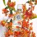 Roger & Gallet Fleur d'Osmanthus Eau Parfumee Γυναικείο Άρωμα 30 ml