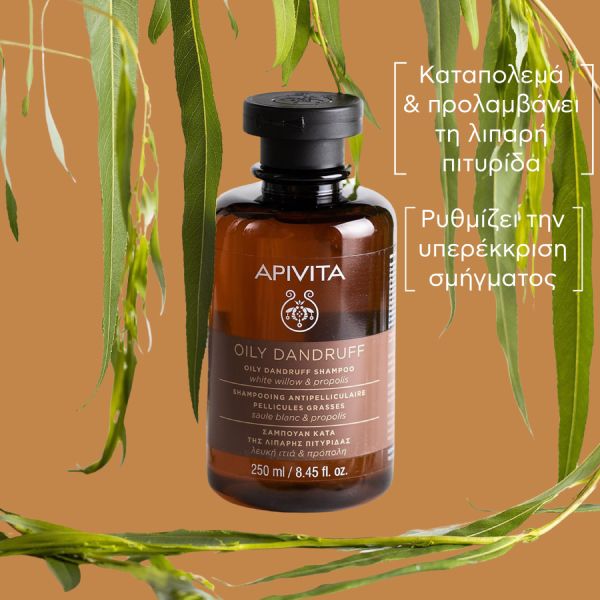 Apivita Oily Dandruff Σαμπουάν Κατά της Λιπαρής Πιτυρίδας με Λευκή Ιτιά και Πρόπολη 250 ml