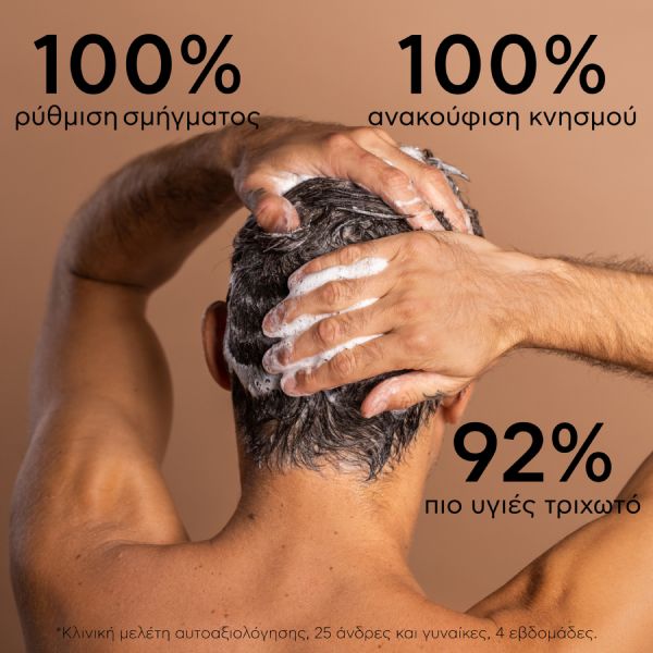 Apivita Oily Dandruff Σαμπουάν Κατά της Λιπαρής Πιτυρίδας με Λευκή Ιτιά και Πρόπολη 250 ml