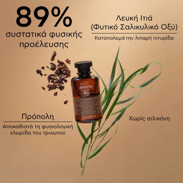 Apivita Oily Dandruff Σαμπουάν Κατά της Λιπαρής Πιτυρίδας με Λευκή Ιτιά και Πρόπολη 250 ml