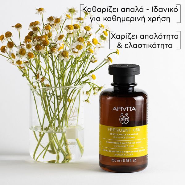 Apivita Frequent Use Σαμπουάν για Καθημερινή Χρήση με Χαμομήλι και Μέλι 250 ml