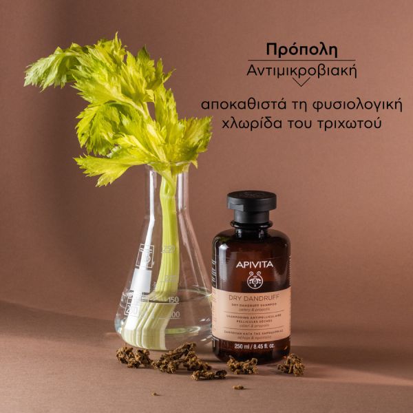 Apivita Dry Dandruff Σαμπουάν Κατά της Ξηροδερμίας με Σέλερι και Πρόπολη 250 ml