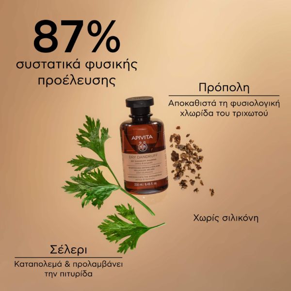 Apivita Dry Dandruff Σαμπουάν Κατά της Ξηροδερμίας με Σέλερι και Πρόπολη 250 ml