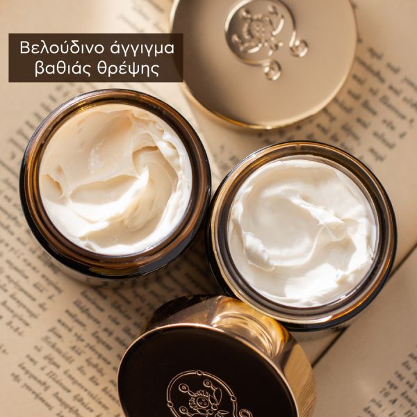Apivita Queen Bee Κρέμα Προσώπου Απόλυτης Αντιγήρανσης και Αναγέννησης Πλούσιας Υφής με Βασιλικό Πολτό Ελεγχόμενης Αποδέσμευσης 50 ml