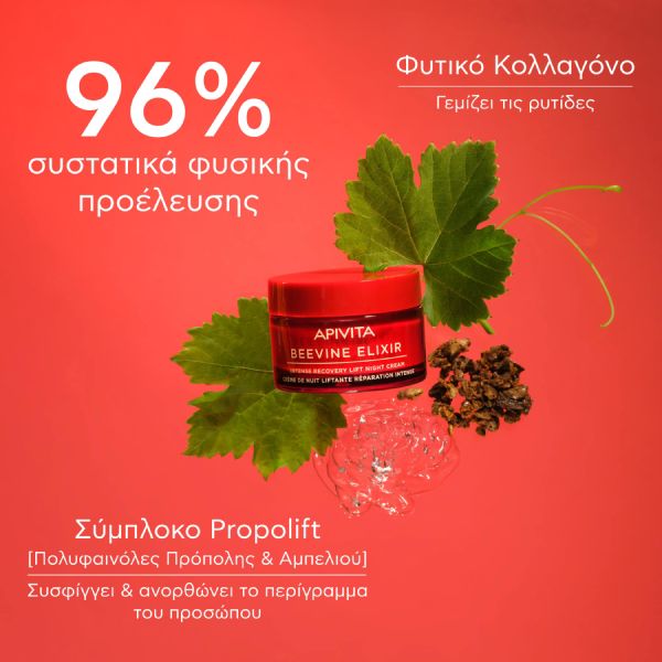 Apivita Beevine Elixir Κρέμα Προσώπου Νύχτας Εντατικής Επανόρθωσης και Lifting με Σύμπλοκο Prοpolift και Φυτικό Κολλαγόνο 50 ml