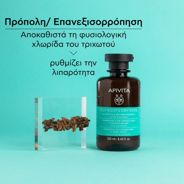 Apivita Oily Roots Dry Ends Σαμπουάν Εξισορρόπησης για Λιπαρές Ρίζες και Ξηρές Άκρες με Τσουκνίδα και Πρόπολη 250 ml
