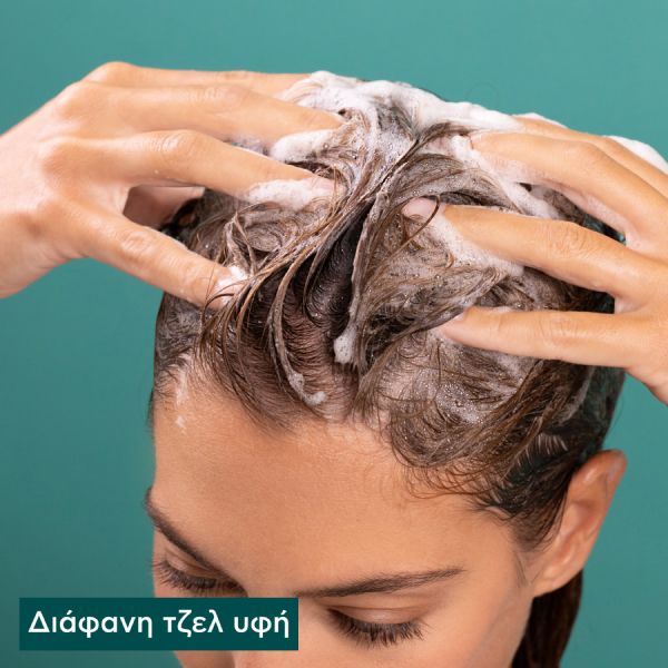 Apivita Oily Hair Σαμπουάν για τη Ρύθμιση της Λιπαρότητας με Μέντα και Πρόπολη 250 ml
