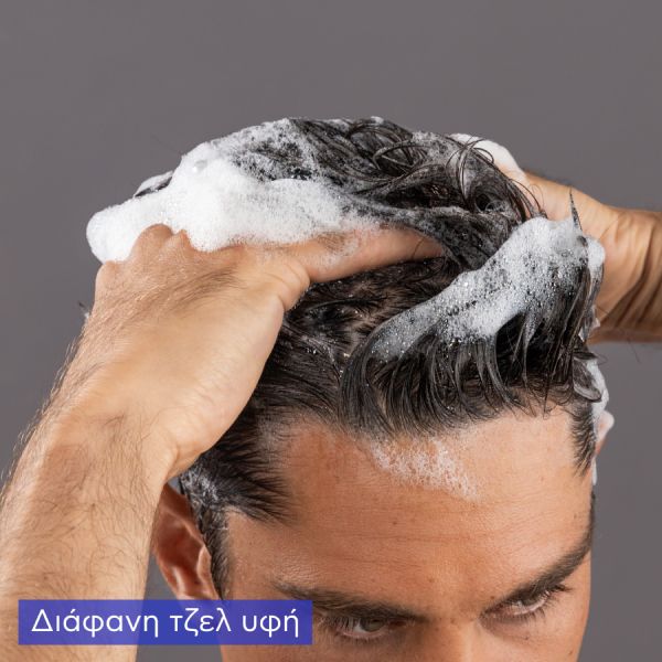 Apivita Τονωτικό Σαμπουάν κατά της Τριχόπτωσης με Hippophae TC και Δενδρολίβανο για Άνδρες 500 ml