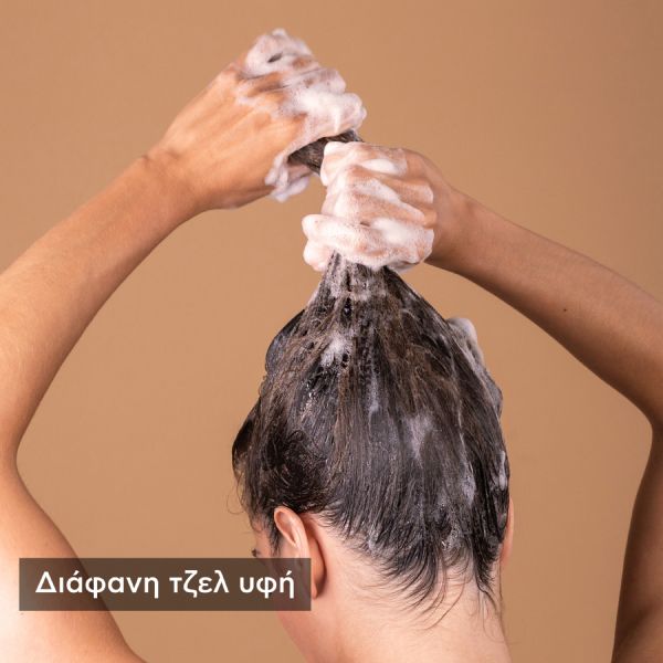 Apivita Dry Dandruff Σαμπουάν Κατά της Ξηροδερμίας με Σέλερι και Πρόπολη Eco Pack 500 ml
