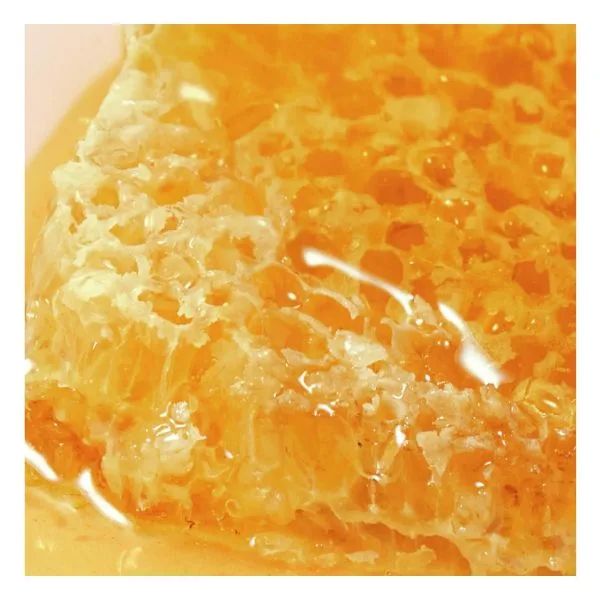 Nuxe Reve De Miel Gel Lavant Τζελ Καθαρισμού Προσώπου, Σώματος Refill 400 ml