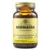 Solgar Echinacea (Echinacea purpurea) 100 Veg. Capsoules